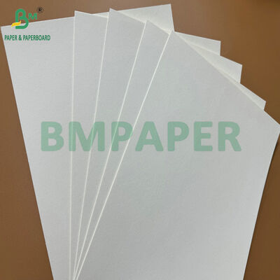 200gsm Eco-Friendly Raw Absorbent Coaster Base Paper Blotting Paper for Beer Mat & Cup Mat Manufacturing