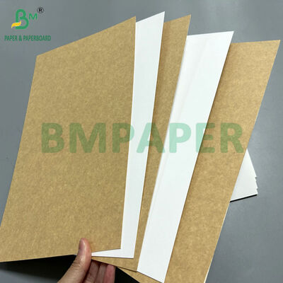 350gsm 365gsm Food-grade White Top Kraft Liner For Food Outer Package 70x100cm
