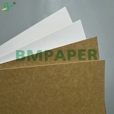 Single Side Coated with Smooth White Surface 300gsm Coated White Back Kraft Paper for High-Quality Printing Frozen Food Cartons