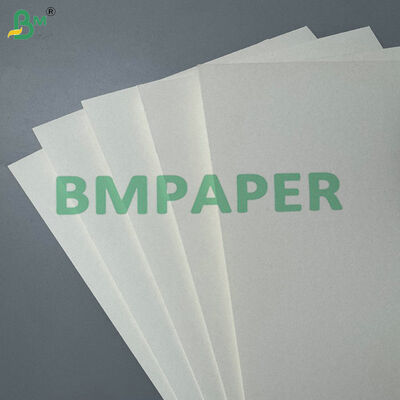 High Stiffness 190gsm 210gsm Single-Side PE Coated Paper for Coffee Cups & Ice Cream Bowls