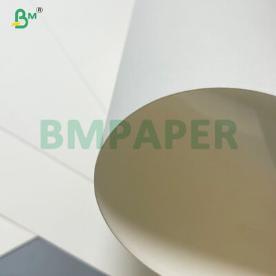 উচ্চ তেল প্রতিরোধী 20gsm 24gsm পিই লেপা গরম স্যুপ নুডল স্যুপ কাগজ