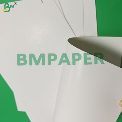 পেকারি প্যাকেজিং জন্য 275gsm 325gsm GC2 ভাঁজ বক্স বোর্ড 760 x 1020mm OBA বিনামূল্যে