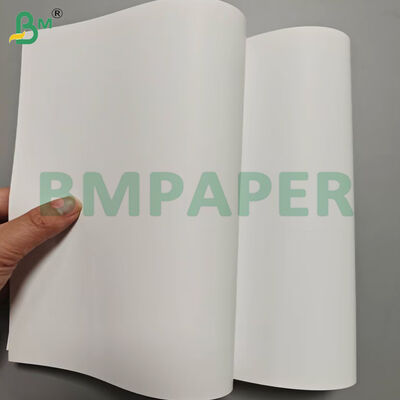 300gsm Two Side Coated Art Paper in Jumbo Rolls 38 Inch Width