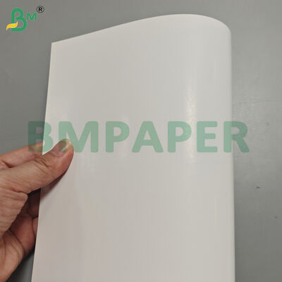 300gsm Two Side Coated Art Paper in Jumbo Rolls 38 Inch Width