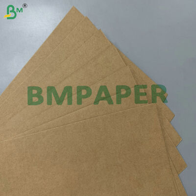 ১০০% ফুড-গ্রেড গ্রিজপ্রুফ কম্পোস্টেবল কাঁচামাল ২০০জিএসএম ৩০০জিএসএম আখের ছোবড়ার বেস পেপার ডিসপোজেবল টেবিলওয়্যারের জন্য