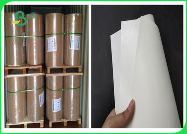 ৩০০ গ্রাম আইভরি বোর্ড + ১৫ গ্রাম পিই লেপা কাগজ