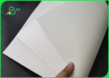 ৩০০ গ্রাম আইভরি বোর্ড + ১৫ গ্রাম পিই লেপা কাগজ