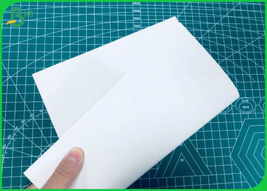 230GSM থেকে 400GSM সম্পূর্ণ শক্ত সাদা লেপযুক্ত FBB ভাল শক্ততা সহ
