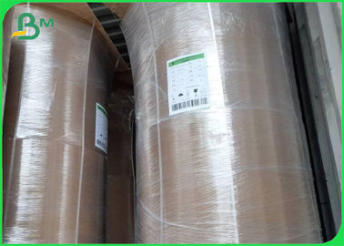 পরিবেশগত বাঁশের ক্রাফট পেপার রোল 50GSM - 250GSM
