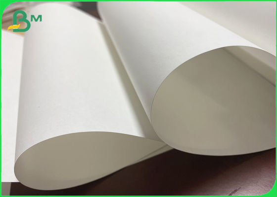 80gsm - 120gsm A0 A1 সাইজ প্রিন্টেবল হোয়াইট শপিং পেপার ব্যাগ ক্রাফট পেপার