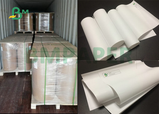 POS পেপারের জন্য 410mm 880mm বড় ফরম্যাট প্রস্থ থার্মাল পেপার রোল 48gr 55gr
