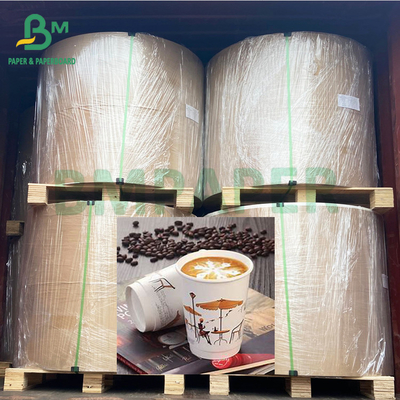 নডলস বাউল 225gsm জলরোধী পিই লেপা কফি কাপ কাগজ রোল