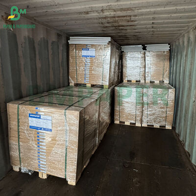 ৭০ গ্রাম ৮০ গ্রাম ১০০% ফুড গ্রেড গ্রাইস প্রুফ পেপার ফুড প্যাকেজিং এর জন্য ৯৫ x ১৩০ সেমি