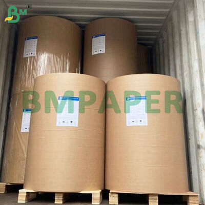 কাগজ কাপ তৈরির জন্য 250gsm+10gsm PE লেপা কাপ বেস পেপার শীট