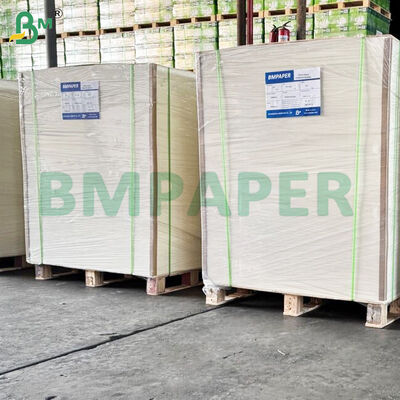 300gsm উচ্চ কঠোরতা খাদ্য গ্রেড নুডল বেস বাটি কাগজ শীট